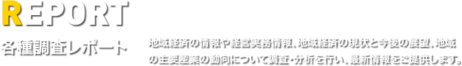 各種調査レポート