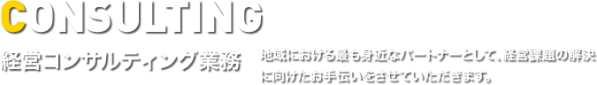 経営コンサルティング業務