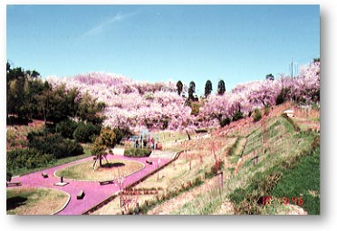 ▲開山公園