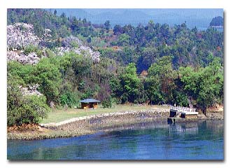 会場から見える桜の名所「能島」