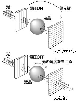 偏光板は一定方向の光の波だけを通す。液晶は電圧がONの時は光の波をそのままの方向で通し、OFFの時は光の波の角度を曲げて通す。