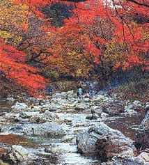 紅葉の美しい「小田深山」