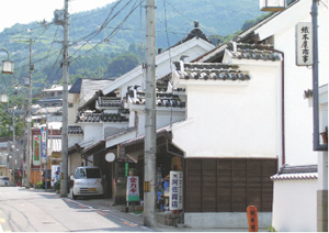 「2層うだつ」の町並み