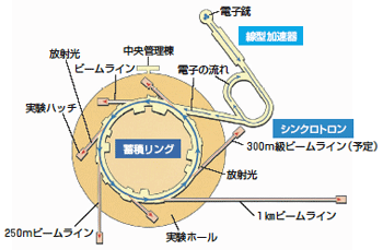 SPring－8の概略図