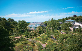 画像：高知県牧野植物園