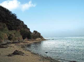 画像：島の風景