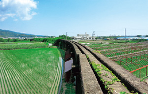 盛り土とコンクリート橋が残る「立岡二号桟道」 