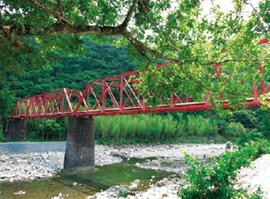 森林鉄道最大の遺構「小島橋」 