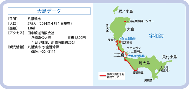 大島データ