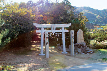 画像：若宮八幡神社