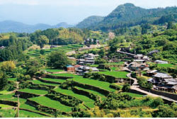 美しい棚田の風景（日浦地区）