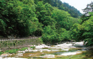 面河渓・五色河原