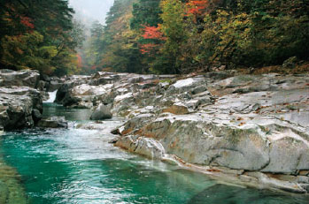 秋の面河渓・紅葉河原